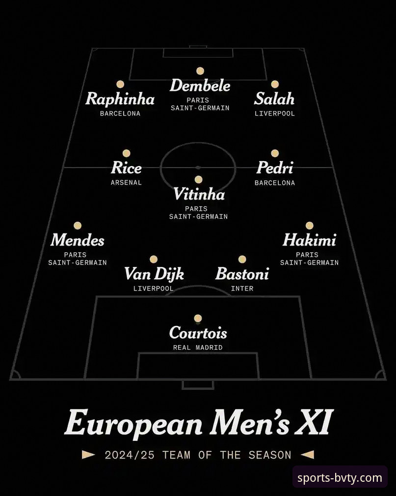 欧美杯赛事取消深度解析与百威体育观赛指南